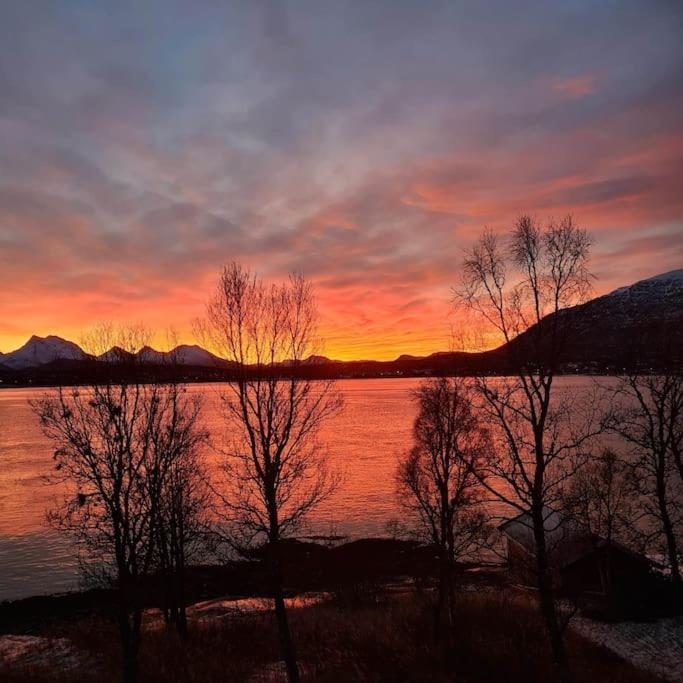 Tromso Stunning Luxury Apart A Larseng Exterior photo